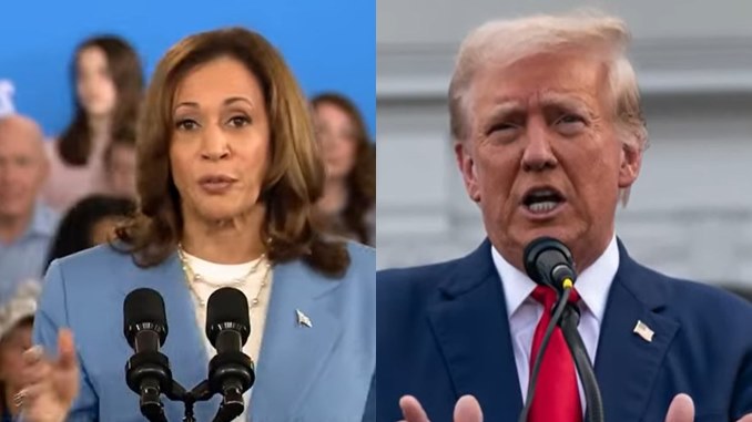 Kamala Harris Donald Trump Polls